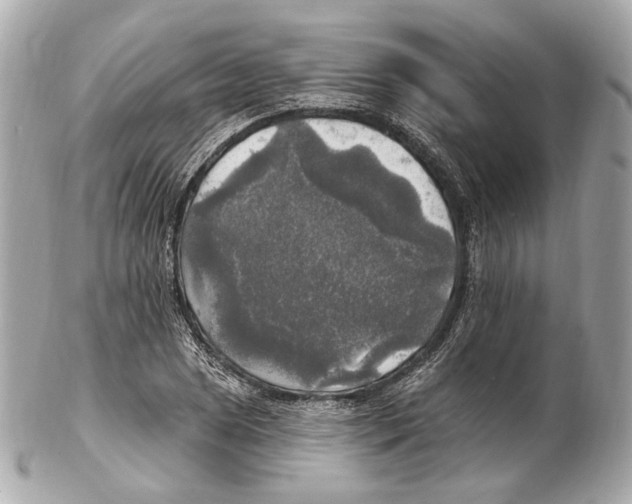 X0000102411025200808291503