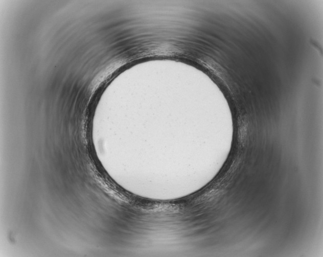 X0000102411026200808291503