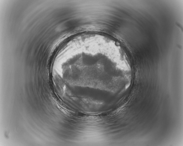 X0000102411027200808291503