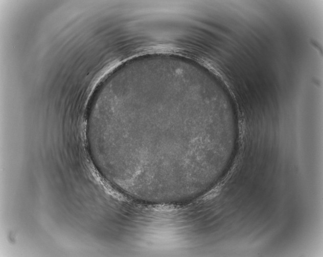 X0000102411029200808291503