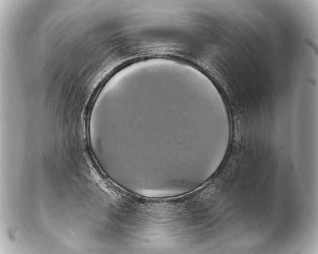 X0000102411031200808291503