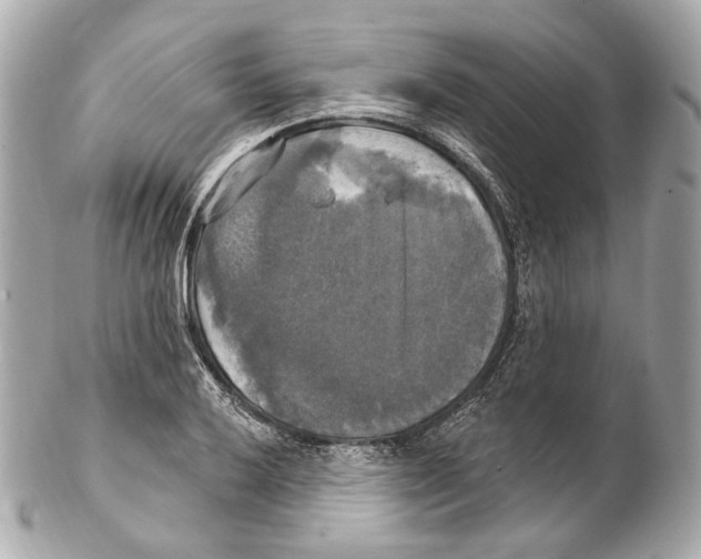 X0000102411032200808291503