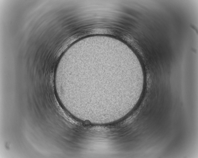 X0000102411033200808291503