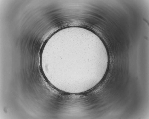 X0000102411034200808291503