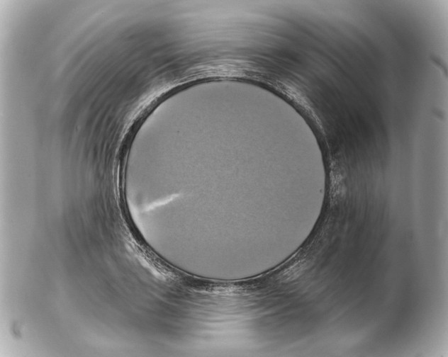 X0000102411035200808291503