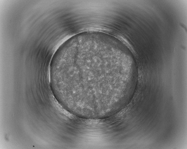 X0000102411036200808291503