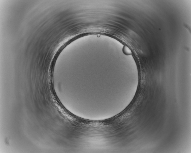 X0000102411037200808291503