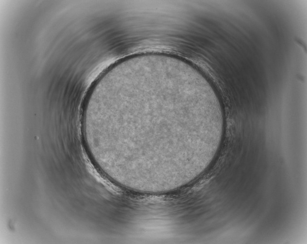 X0000102411038200808291503