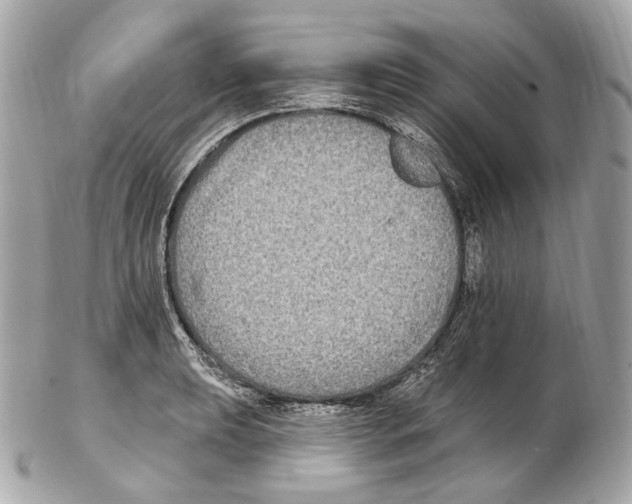 X0000102411039200808291503