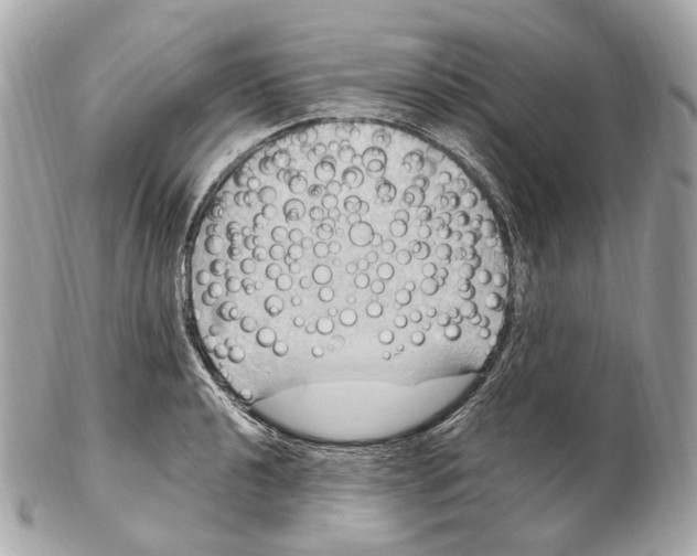 X0000102411040200808291503