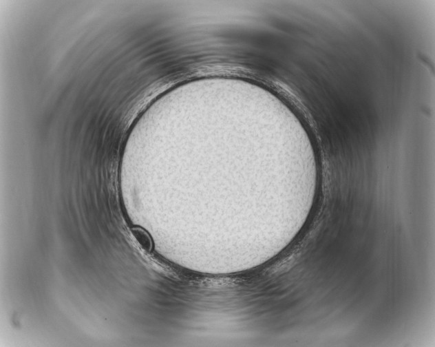 X0000102411041200808291503