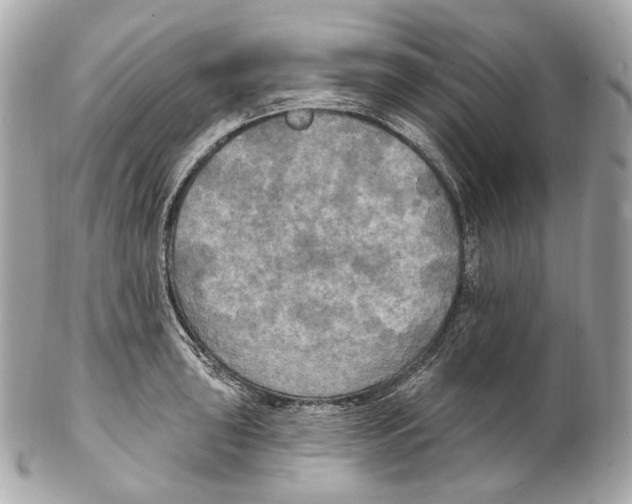 X0000102411043200808291503