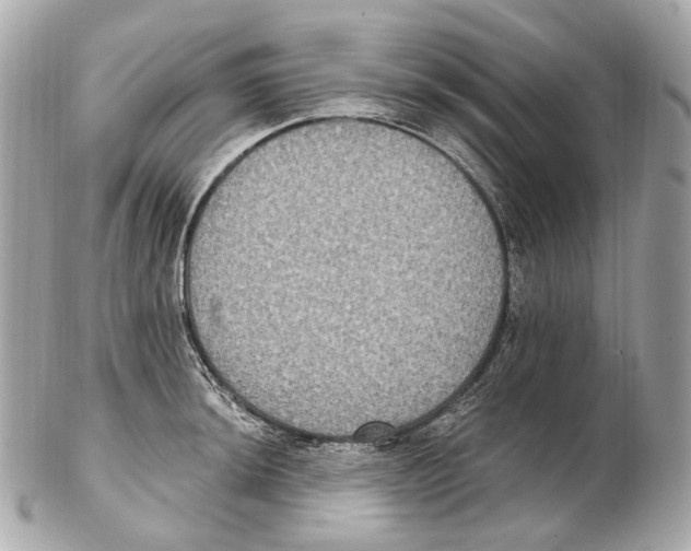 X0000102411044200808291503