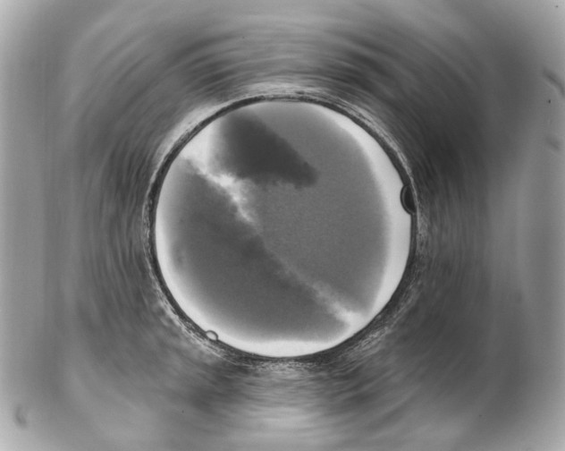 X0000102411045200808291503