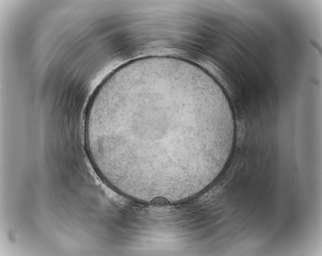 X0000102411046200808291503