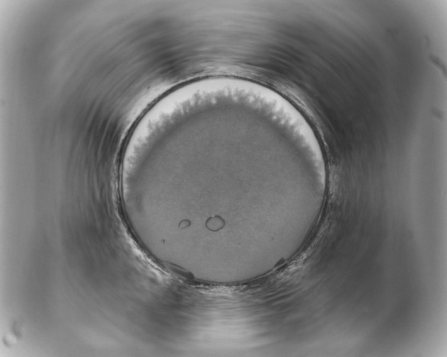 X0000102411048200808291503