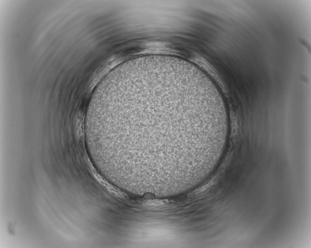 X0000102411049200808291503