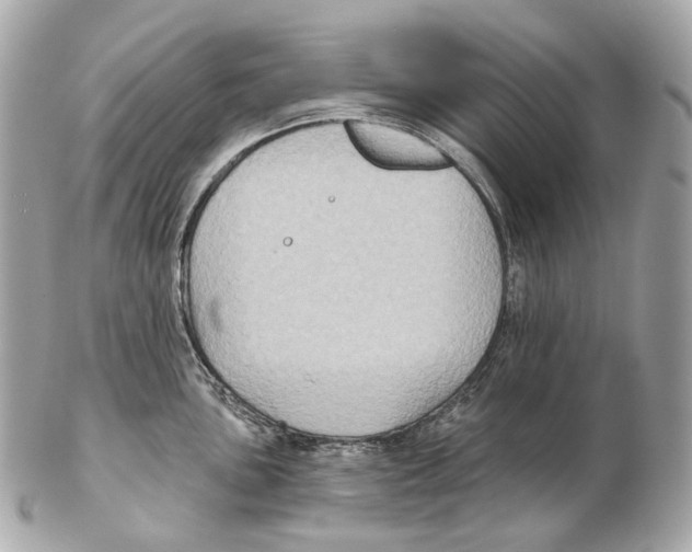 X0000102411051200808291503