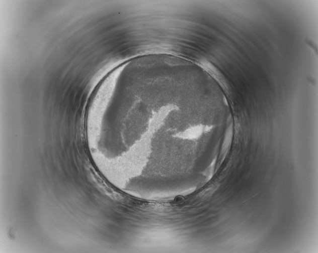 X0000102411052200808291503