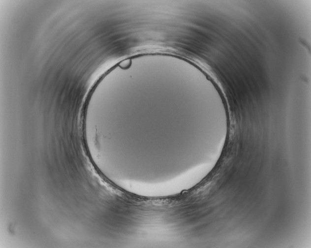 X0000102411053200808291503