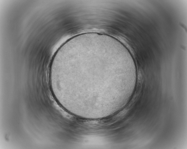 X0000102411054200808291503