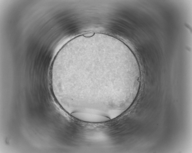 X0000102411056200808291503