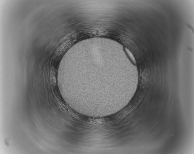 X0000102411058200808291503