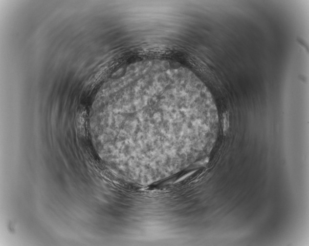 X0000102411059200808291503