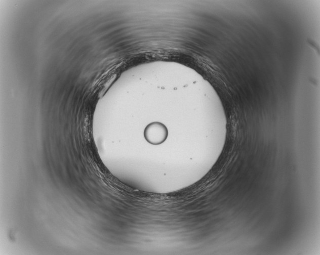 X0000102411060200808291503