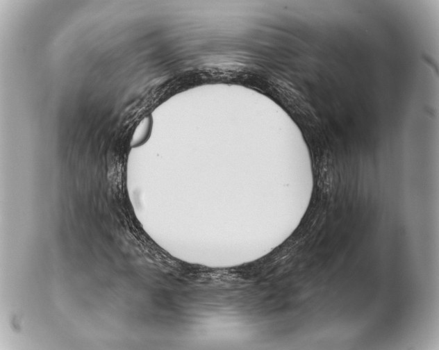 X0000102411061200808291503