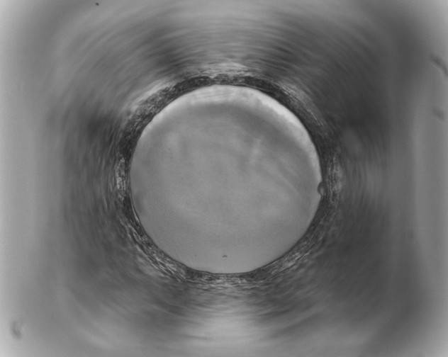 X0000102411063200808291503