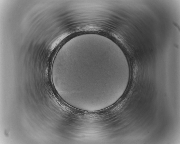 X0000102411066200808291502