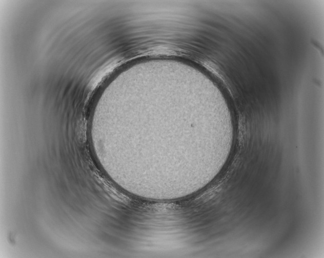 X0000102411067200808291502