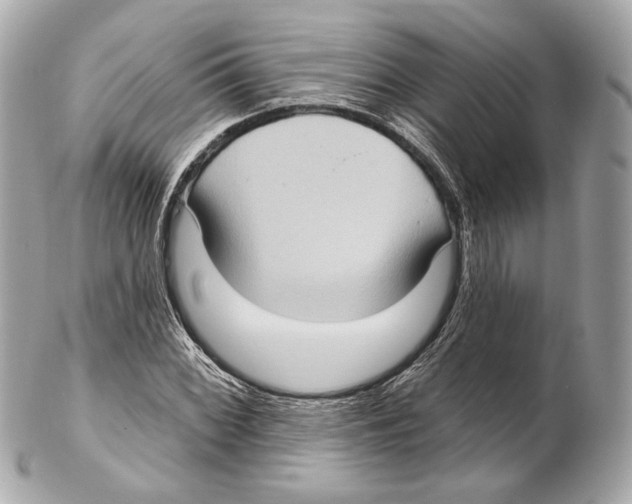 X0000102411068200808291502