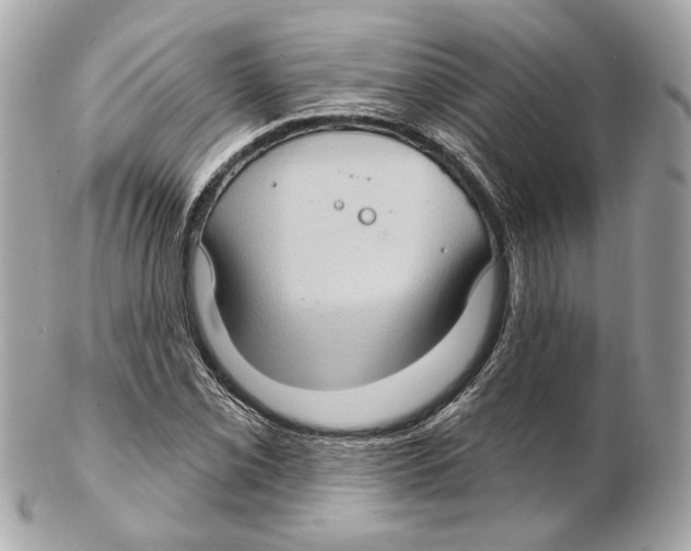 X0000102411069200808291502