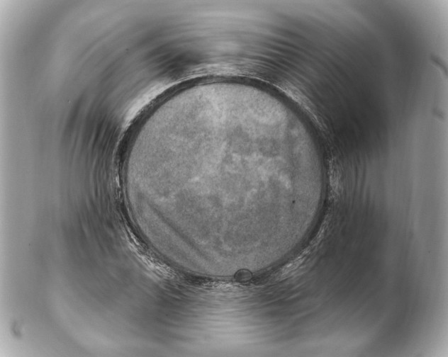 X0000102411070200808291502