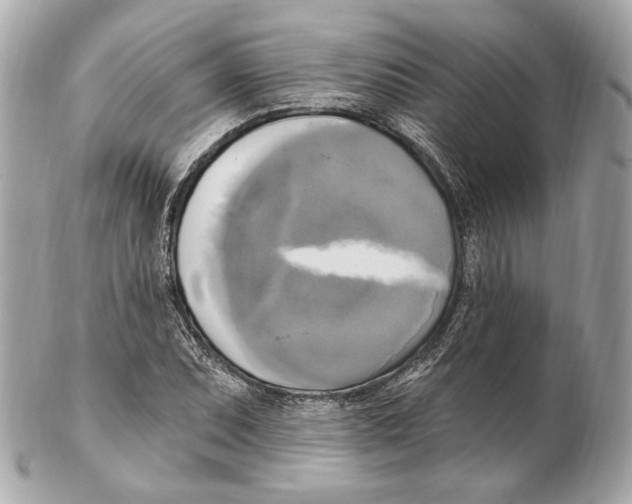 X0000102411071200808291502