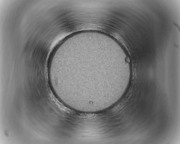 X0000102411072200808291502