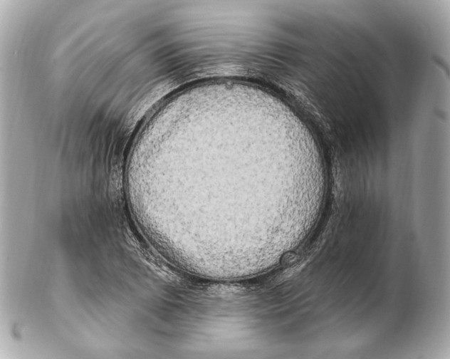 X0000102411073200808291502