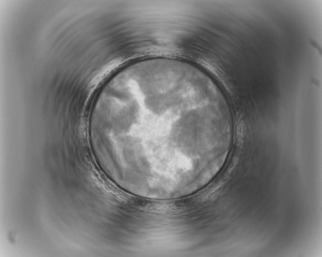 X0000102411074200808291502