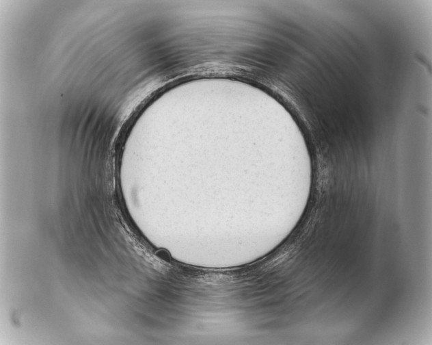 X0000102411075200808291502