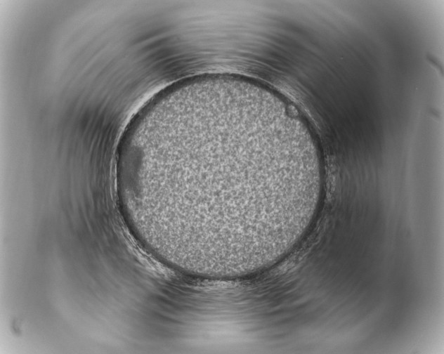 X0000102411076200808291502