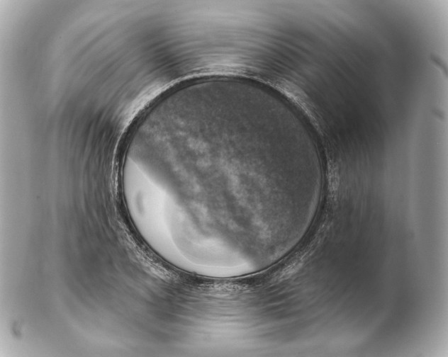 X0000102411077200808291502