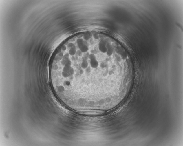 X0000102411079200808291502