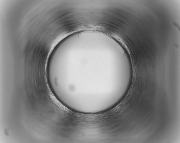 X0000102411080200808291502