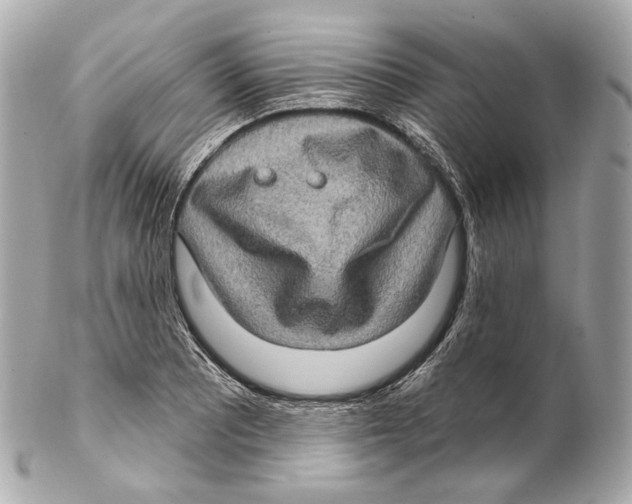 X0000102411081200808291502