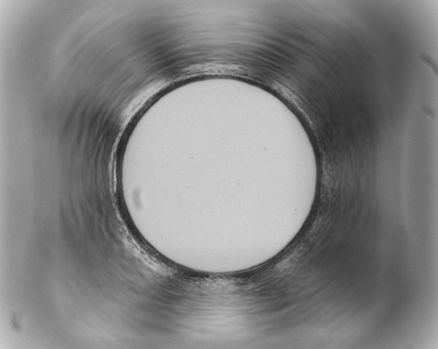 X0000102411082200808291502