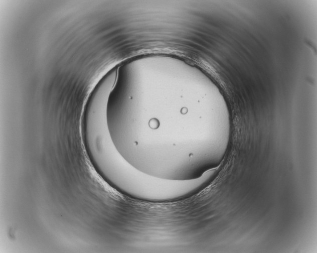 X0000102411084200808291502