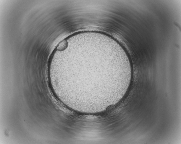 X0000102411085200808291502