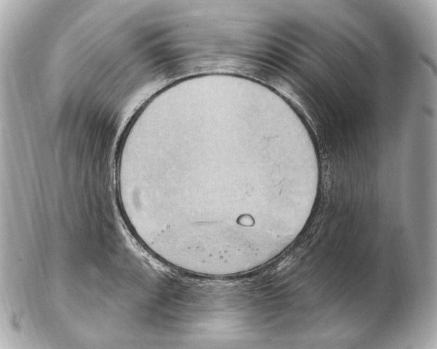 X0000102411088200808291502